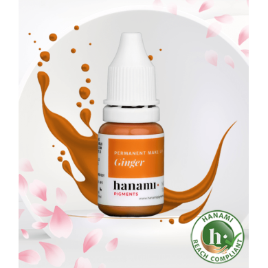 Ginger - HANAMI PMU & Hair Stroke